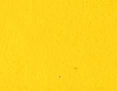 250ML(cc) 0590 Kavun Sarı