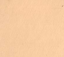 250ML(cc) 0650 Fildişi