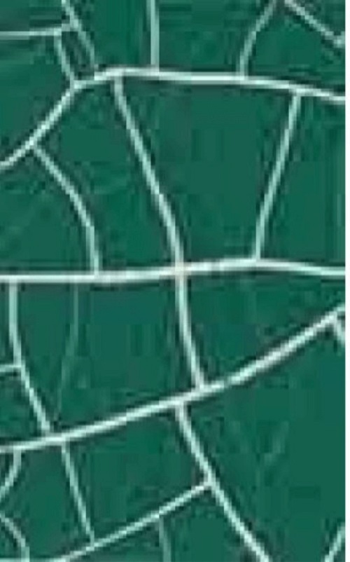 C1001 Yağ Yeşili Crocodile Çatlatma-137354