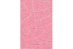 C1012 Pembe Crocodile Çatlatma-137332