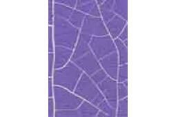 C1014 Mor Crocodile Çatlatma-137334