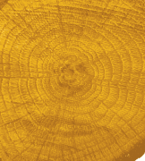 COLOUR ON RENKLİ VERNİK CV-01 SARI 90ML-144676