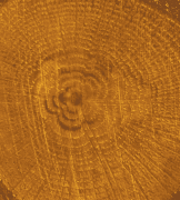 COLOUR ON RENKLİ VERNİK CV-02 TURUNCU 90ML-144678