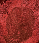 COLOUR ON RENKLİ VERNİK CV-04 KIRMIZI 90ML-144682