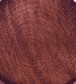 COLOUR ON RENKLİ VERNİK CV-06 MAUN 90ML-144686