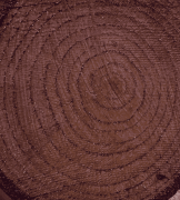 COLOUR ON RENKLİ VERNİK CV-07 VENGE 90ML-144688