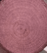 COLOUR ON RENKLİ VERNİK CV-08 MOR 90ML-144690