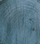 COLOUR ON RENKLİ VERNİK CV-10 ZEYTİN 90ML-144694