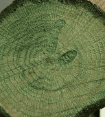 COLOUR ON RENKLİ VERNİK CV-11 YEŞİL 90ML-144696