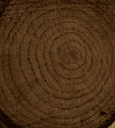 COLOUR ON RENKLİ VERNİK CV-15 ACI KAHVE 90ML-144706