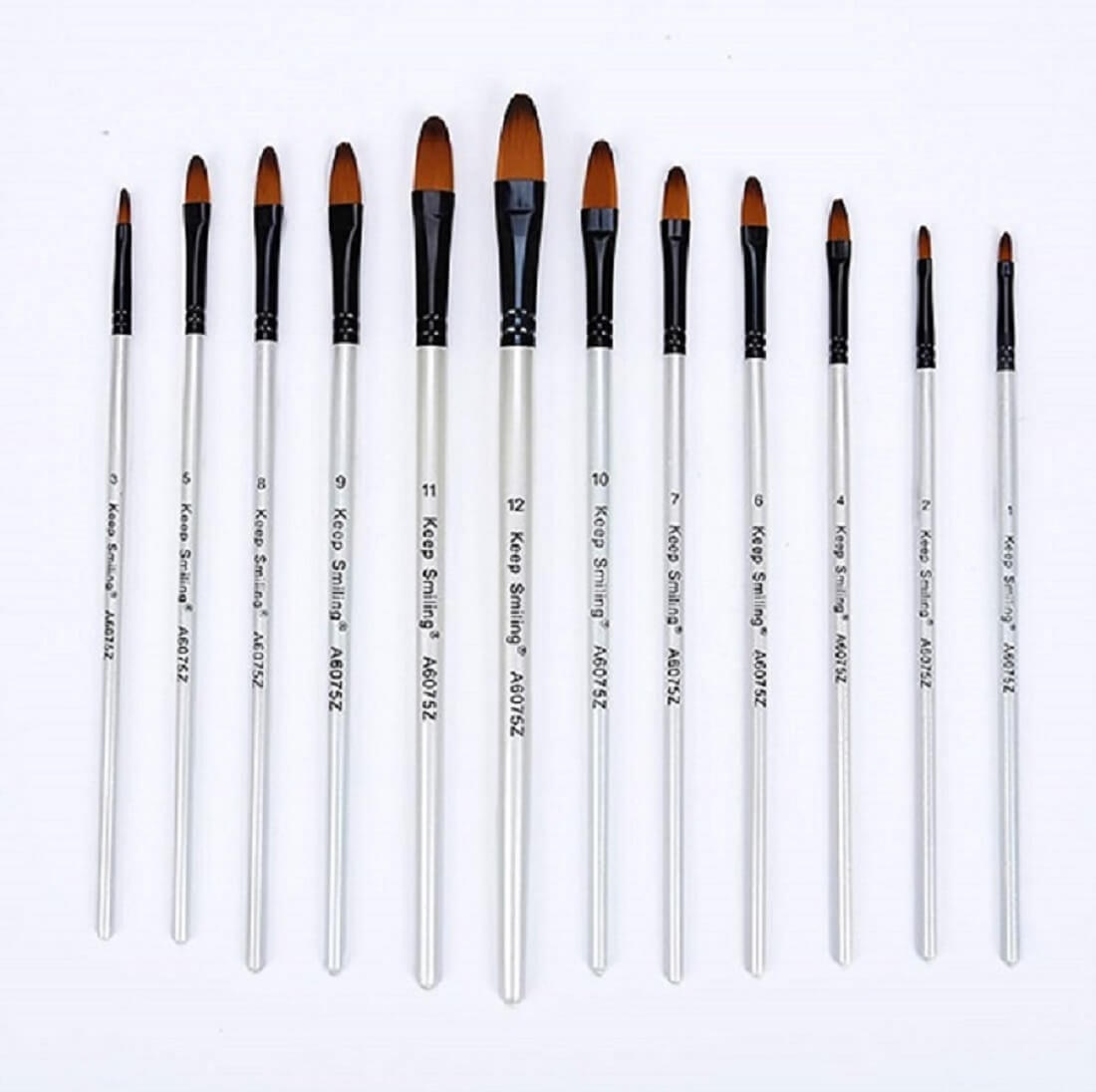 Kedi Dili Oval Uç Fırça Seti 12'li