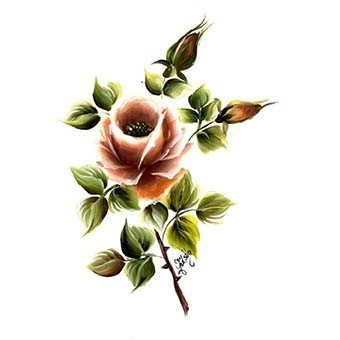 Cadence Gülsün Ülkü Hazır Transfer G10 17x25