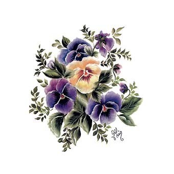 Cadence Gülsün Ülkü Hazır Transfer G36 17x25