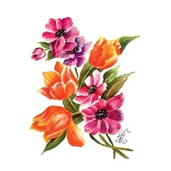 Cadence Gülsün Ülkü Hazır Transfer G38 17x25