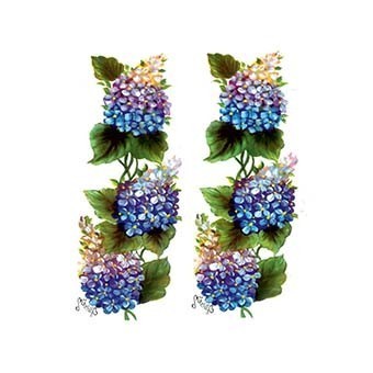 Cadence Gülsün Ülkü Hazır Transfer G41 17x25