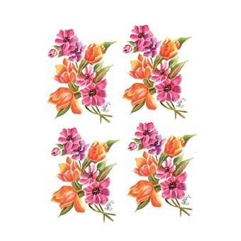 Cadence Gülsün Ülkü Hazır Transfer G45 17x25