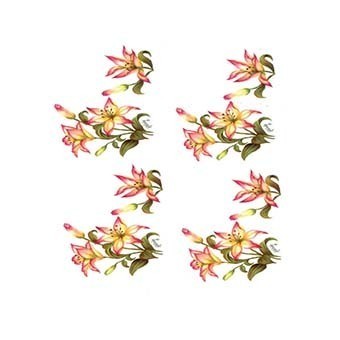 Cadence Gülsün Ülkü Hazır Transfer G46 17x25