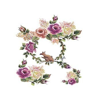 G96 17x25 Gülsün Ülkü