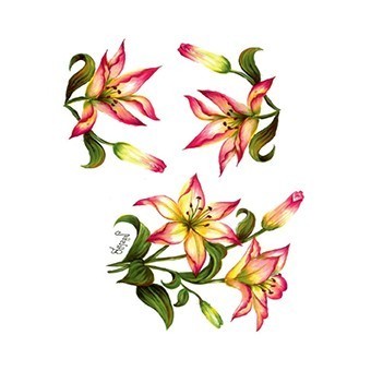 G62 25x35 Gülsün Ülkü