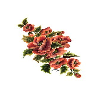 G68 25x35 Gülsün Ülkü