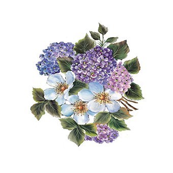 G81 25x35 Gülsün Ülkü