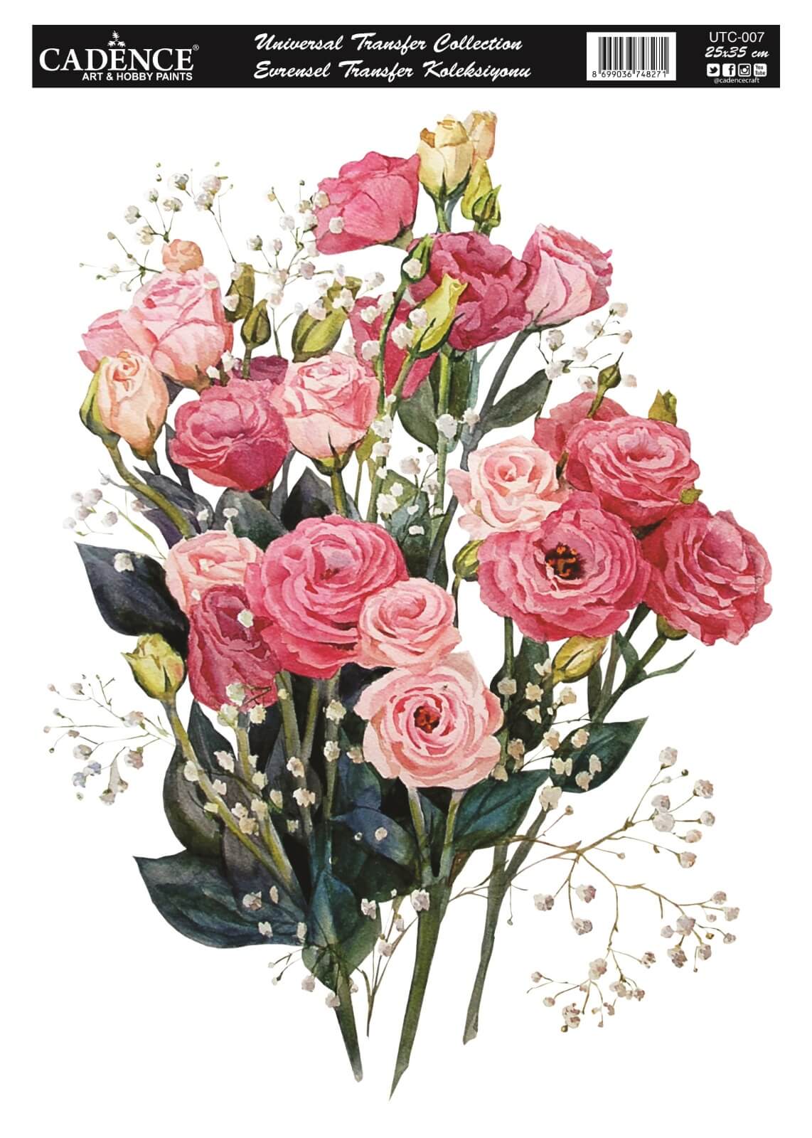 UTC-007 Cadence Evrensel Transfer