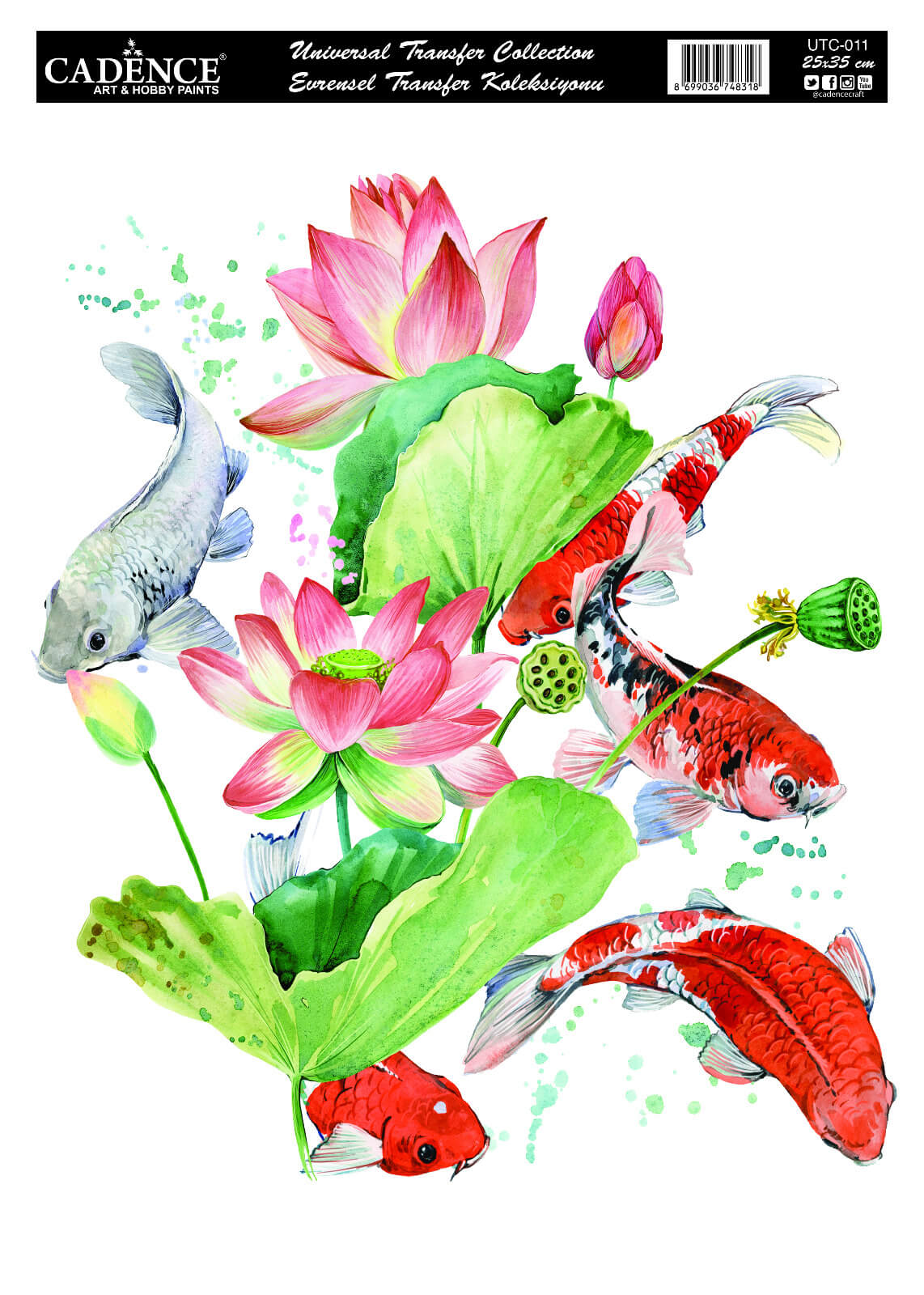 UTC-011 Cadence Evrensel Transfer