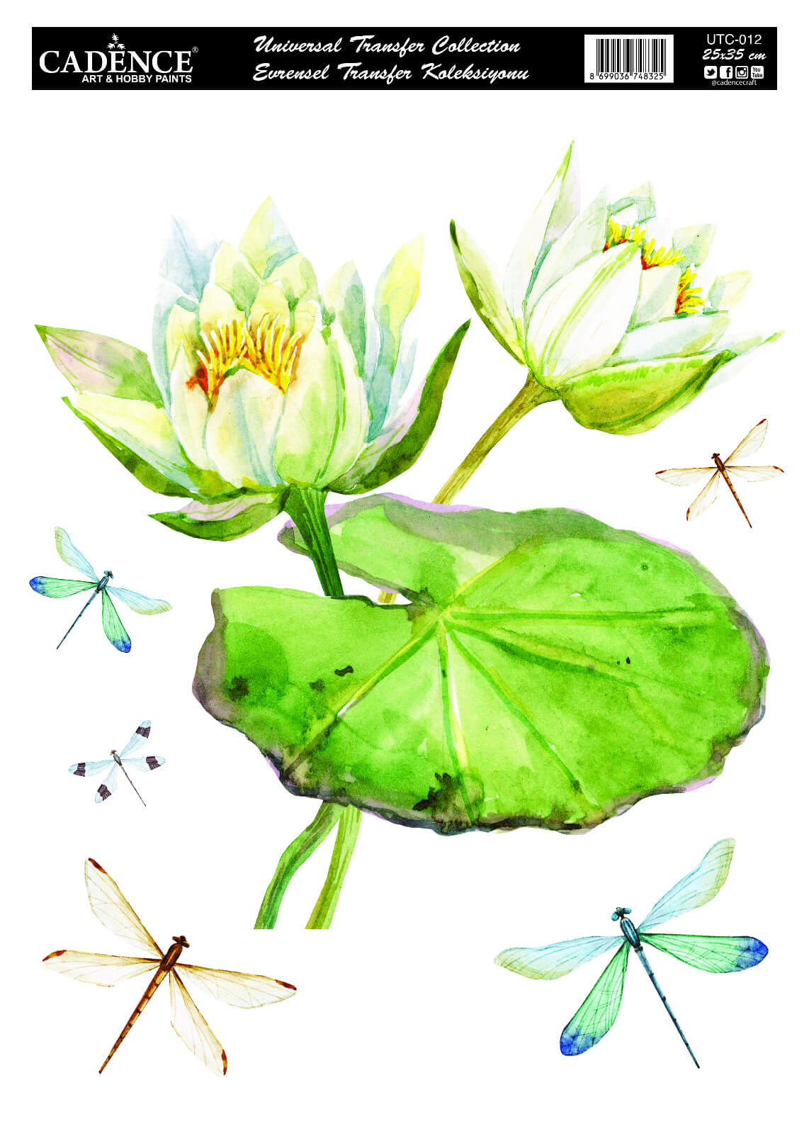 UTC-012 Cadence Evrensel Transfer