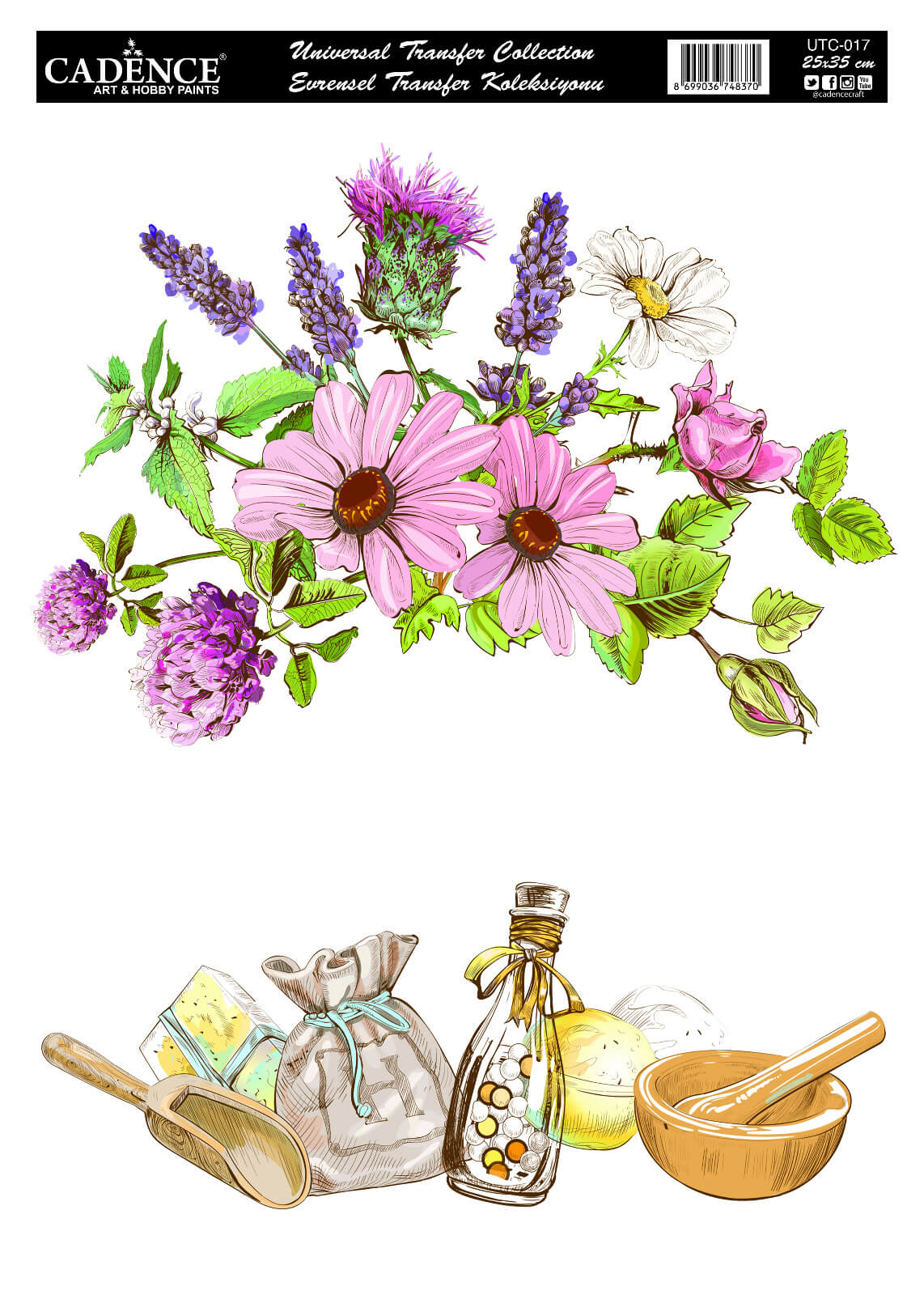 UTC-017 Cadence Evrensel Transfer