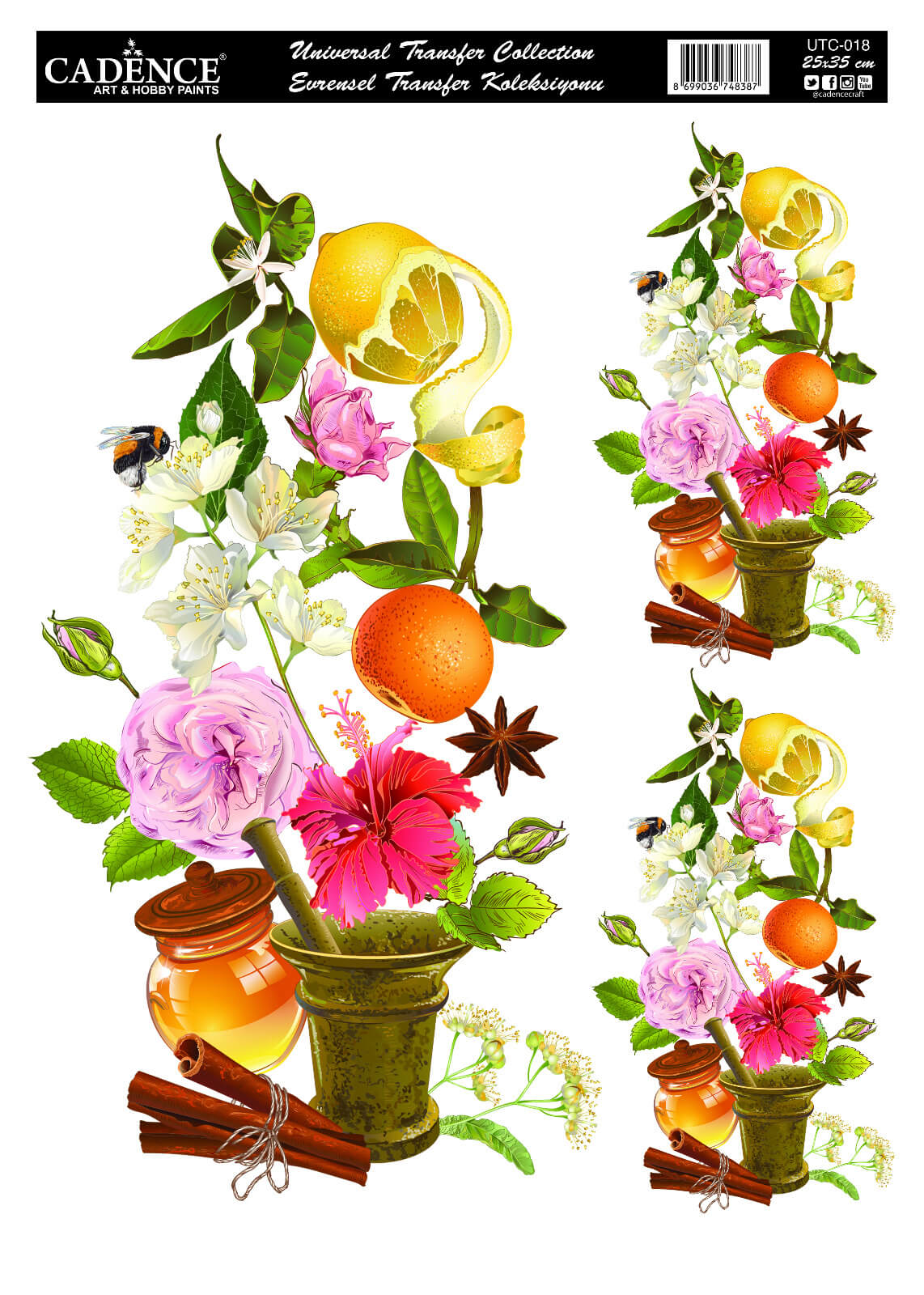 UTC-018 Cadence Evrensel Transfer