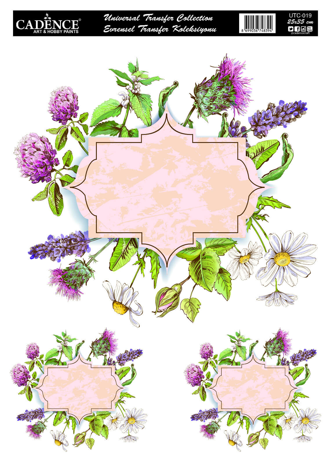 UTC-019 Cadence Evrensel Transfer