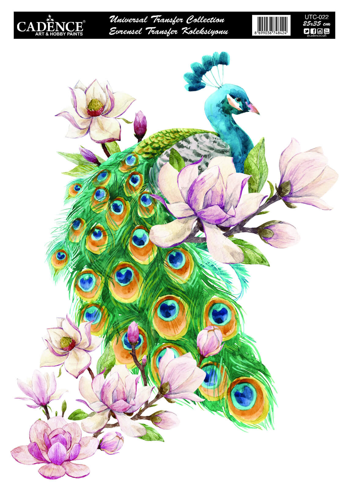 UTC-022 Cadence Evrensel Transfer