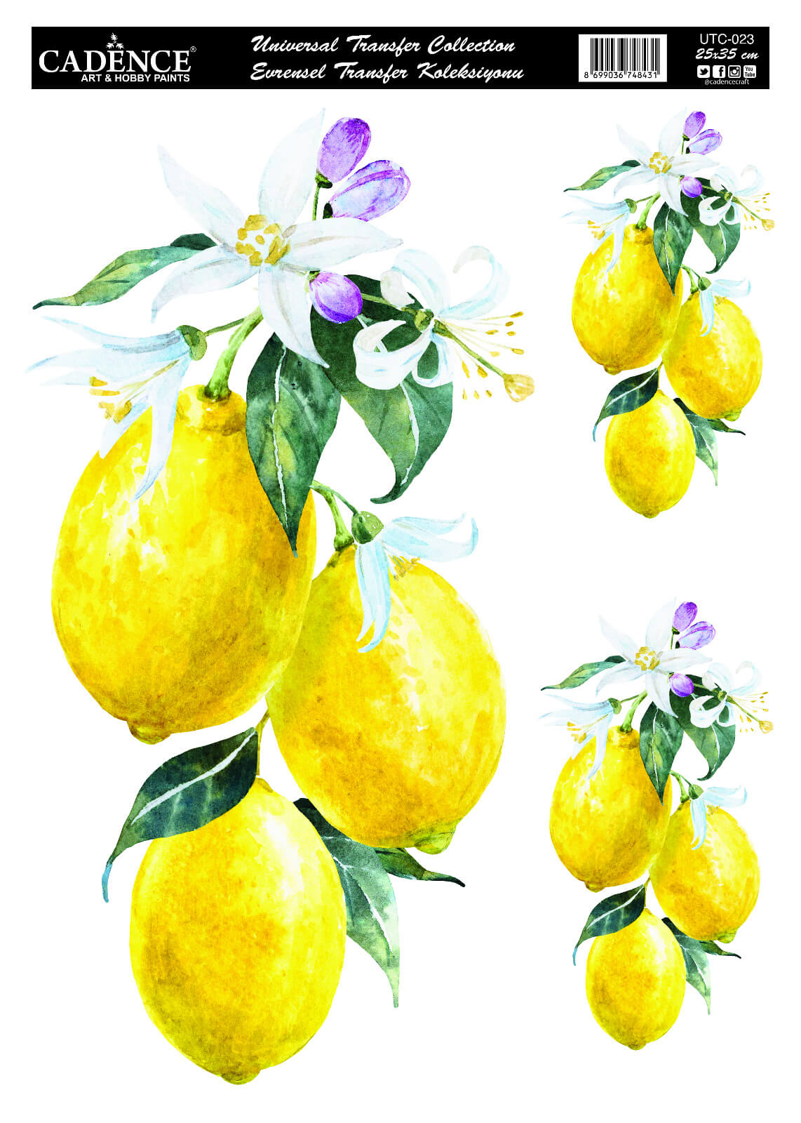 UTC-023 Cadence Evrensel Transfer