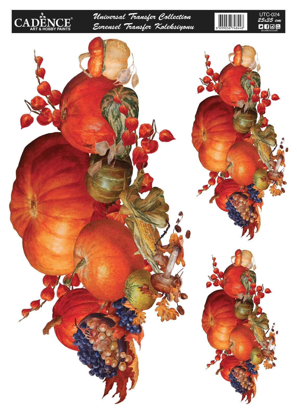 UTC-024 Cadence Evrensel Transfer