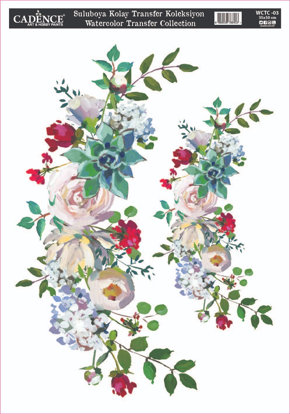 WCT-03 Cadence Sulu Boya Kolay Transfer (35x50)