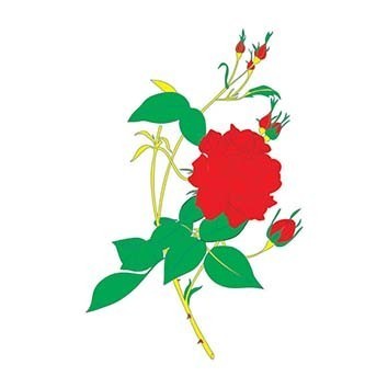 ÖSD11 17x25 Özel Simli Transfer