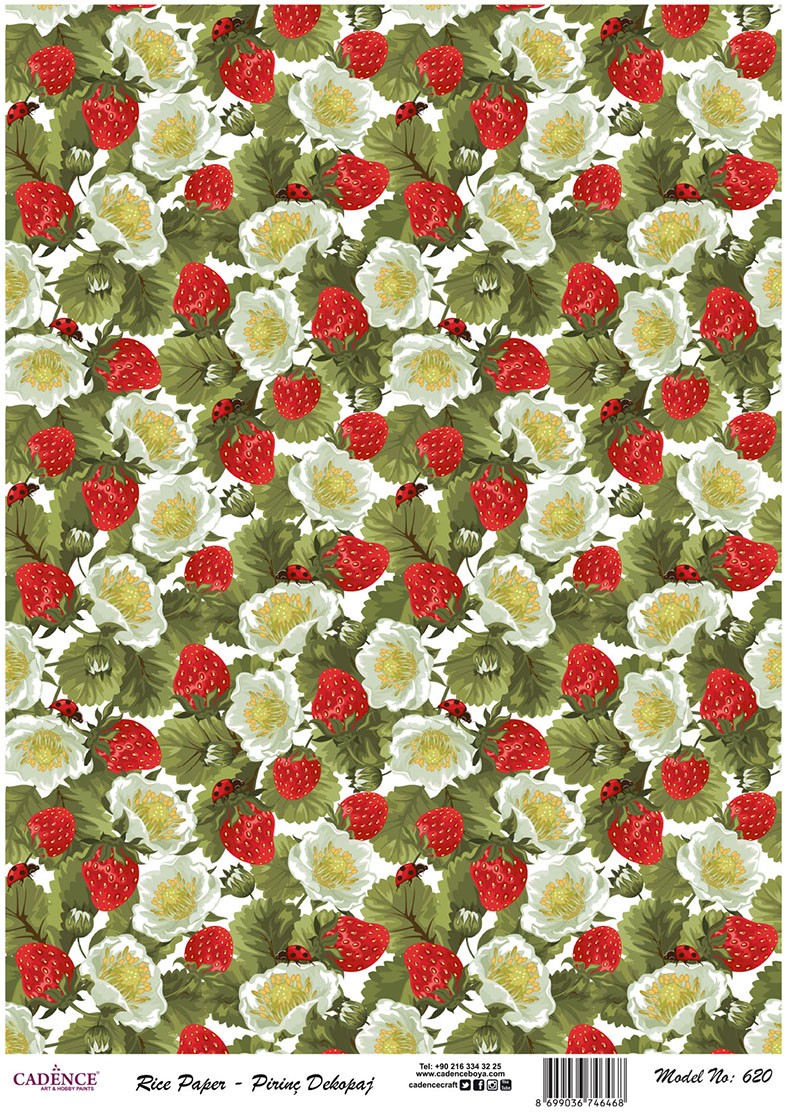 Cadence Pirinç Dekopaj - Model 620