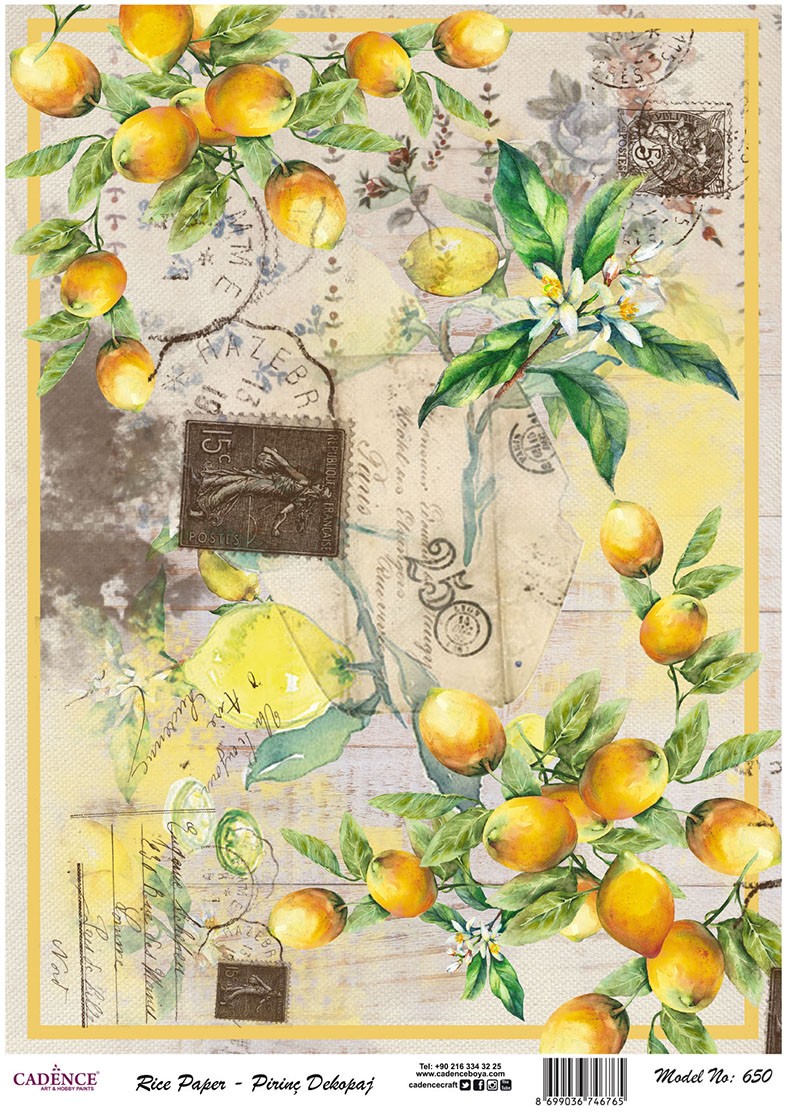 Cadence Pirinç Dekopaj - Model 650