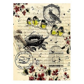 Cadence Pirinç Dekopaj - Model 147