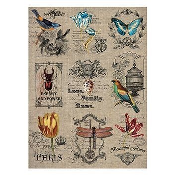 Cadence Pirinç Dekopaj - Model 217