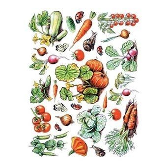 Cadence Pirinç Dekopaj - Model 25