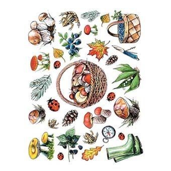 Cadence Pirinç Dekopaj - Model 28