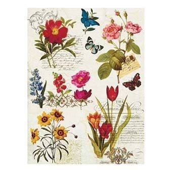 Cadence Pirinç Dekopaj - Model 42