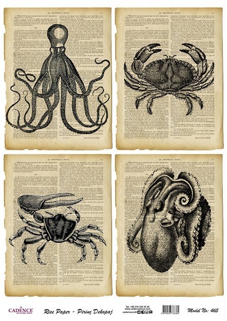 Cadence Pirinç Dekopaj - Model 465