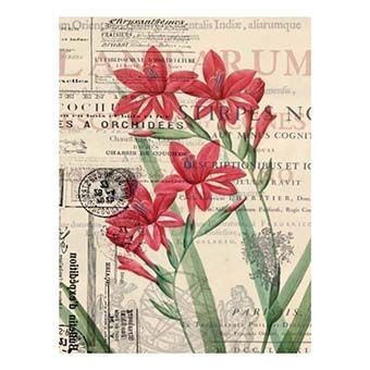 Cadence Pirinç Dekopaj - Model 56