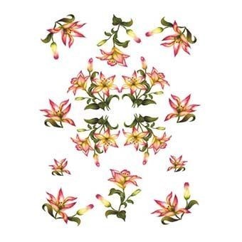 Cadence Pirinç Dekopaj -Model 77