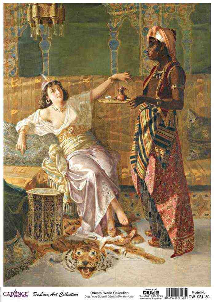 Cadence Deluxe Art Pirinç Dekopaj Model OW-051 (30x42)