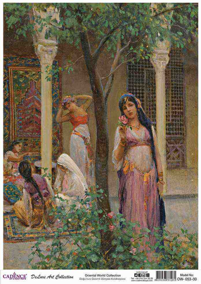 Cadence Deluxe Art Pirinç Dekopaj Model OW-053 (90x125)