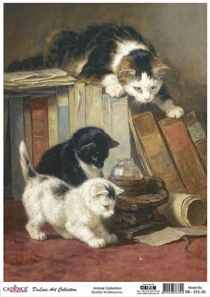 Cadence Deluxe Art Pirinç Dekopaj Model DK-015 (90x125)