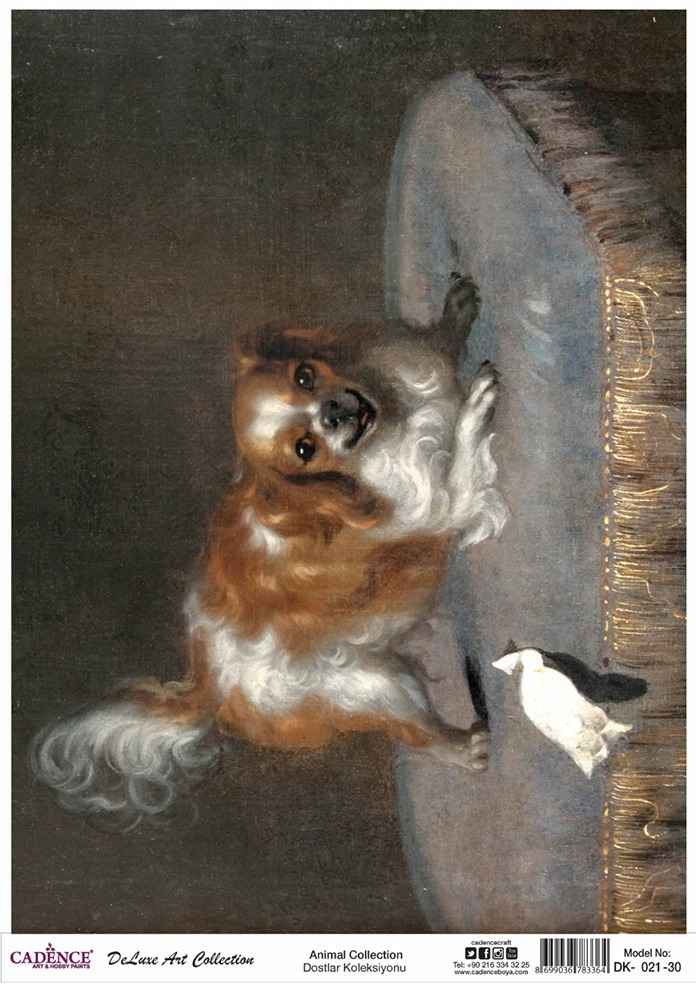 Cadence Deluxe Art Pirinç Dekopaj Model DK-021 (90x125)